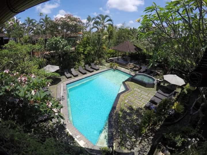 Gallery Okawati Boutique Bungalow